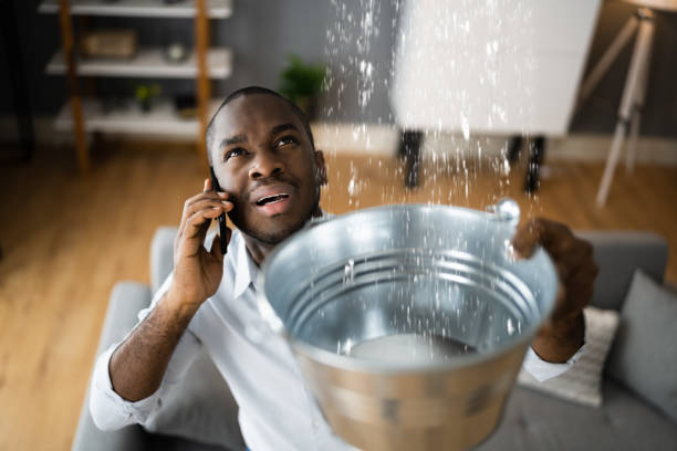 Best Flooded house restoration  in Islip Terrace, NY