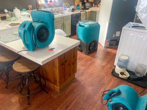 Best Sewage cleanup and water damage restoration  in Islip Terrace, NY