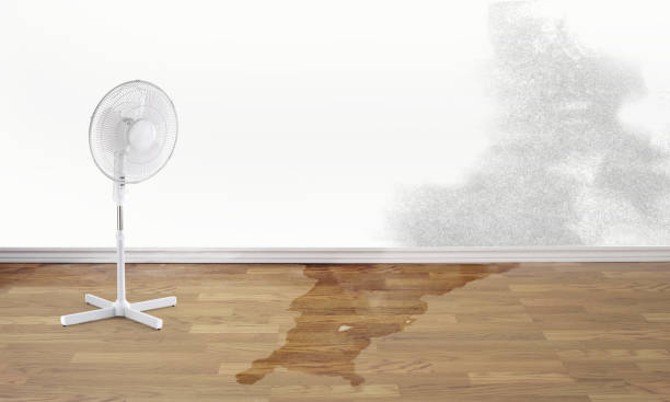 Best Professional water damage repair  in Islip Terrace, NY