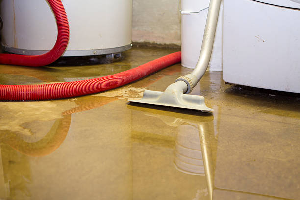  Islip Terrace, NY Water damage restoration Pros