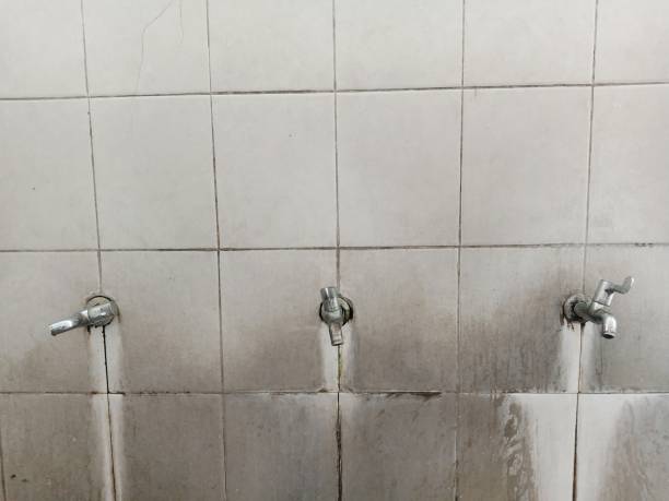 Best Mold removal after water damage  in Islip Terrace, NY