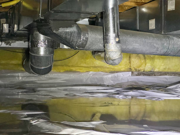 Best Flood damage cleanup  in Islip Terrace, NY
