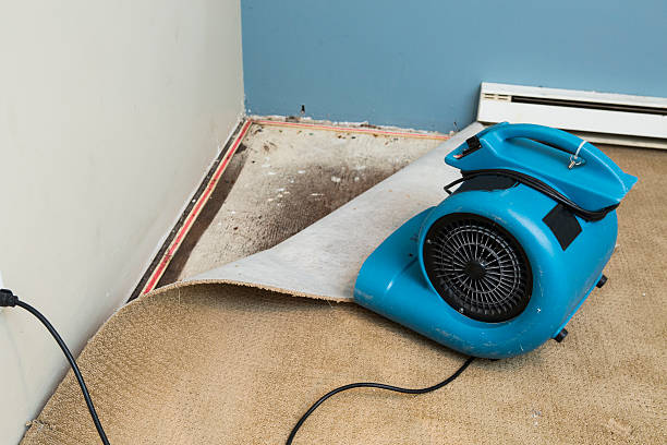Best Carpet water damage restoration  in Islip Terrace, NY